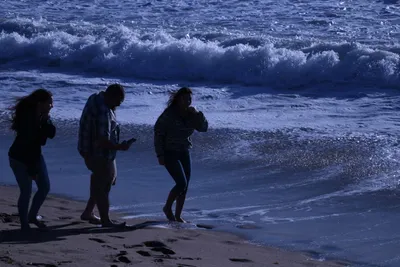 DSC_0393 (Large).JPG